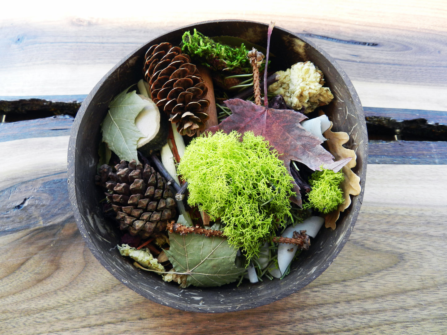Raw Nature Potpourri in Coconut Shell - Beard n Moustache