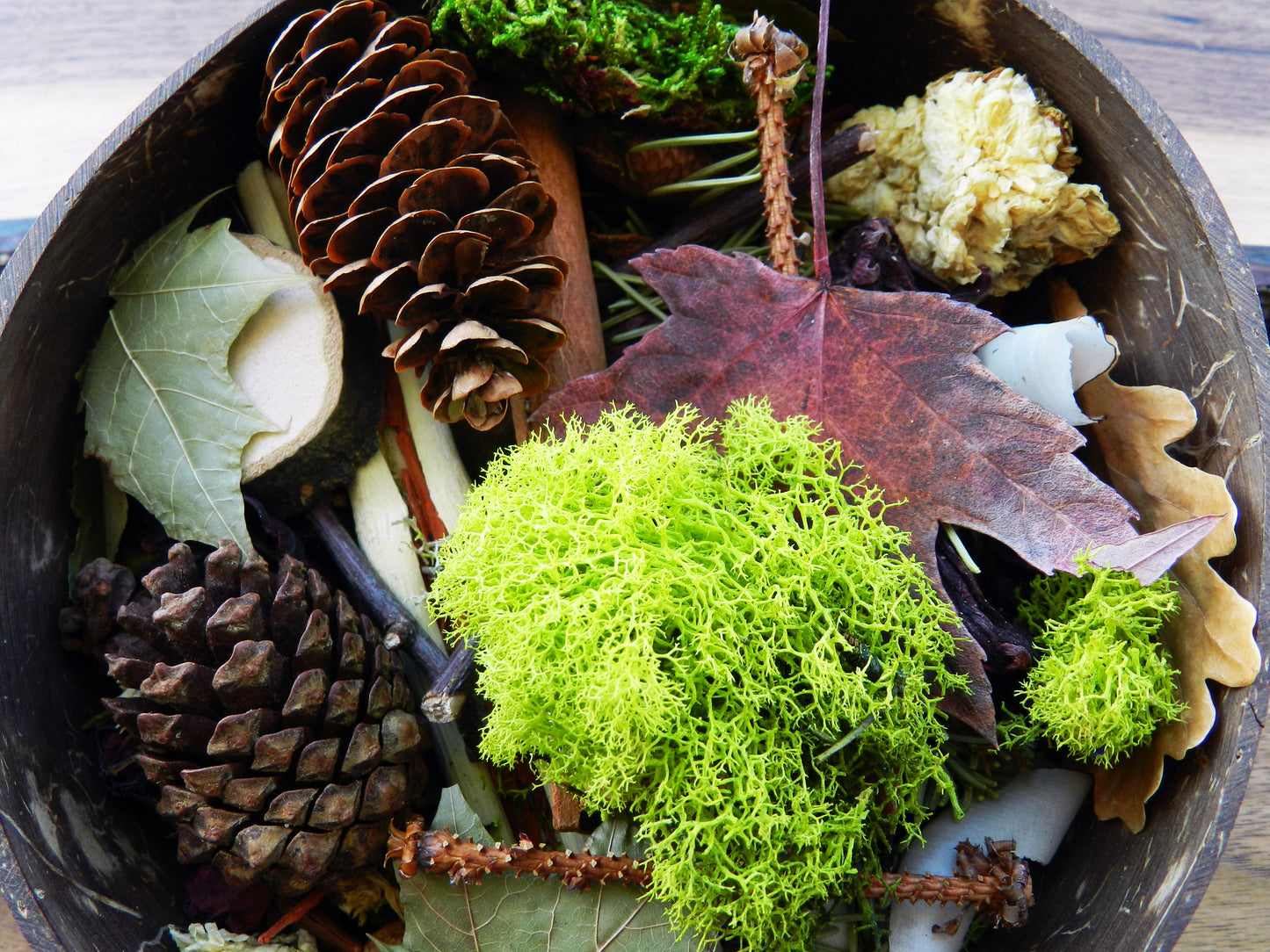 Raw Nature Potpourri in Coconut Shell - Beard n Moustache