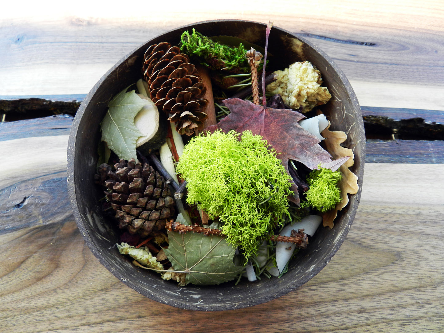 Wildcrafted Potpourri in Natural Coconut Shell – Organic Botanical Blend - Nina Bella Collection