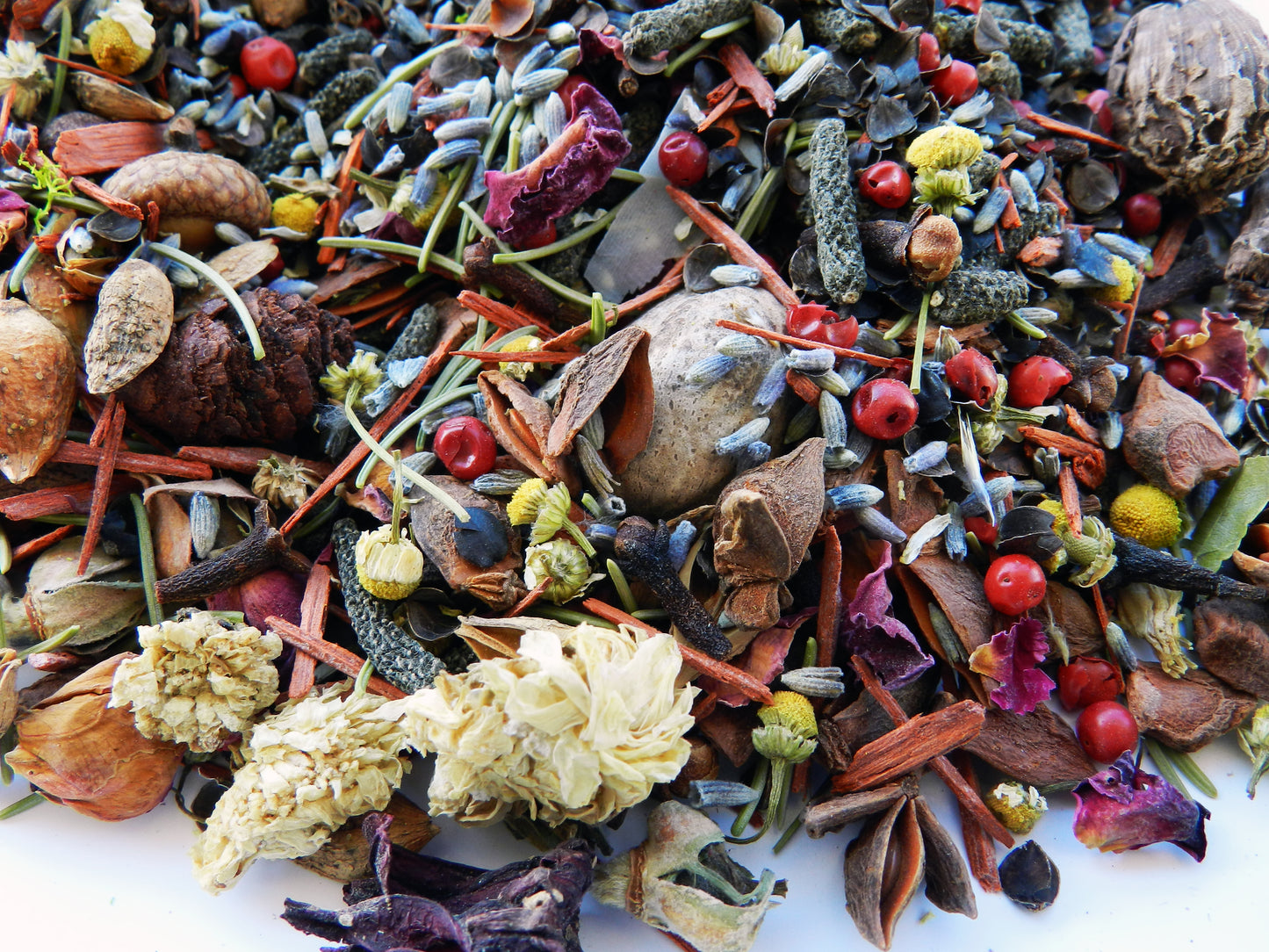 Wildcrafted Potpourri in Natural Coconut Shell – Organic Botanical Blend - Nina Bella Collection