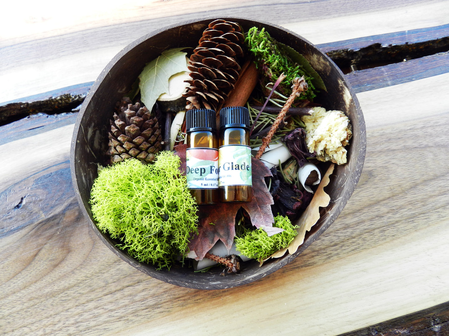 Wildcrafted Potpourri in Natural Coconut Shell – Organic Botanical Blend - Nina Bella Collection