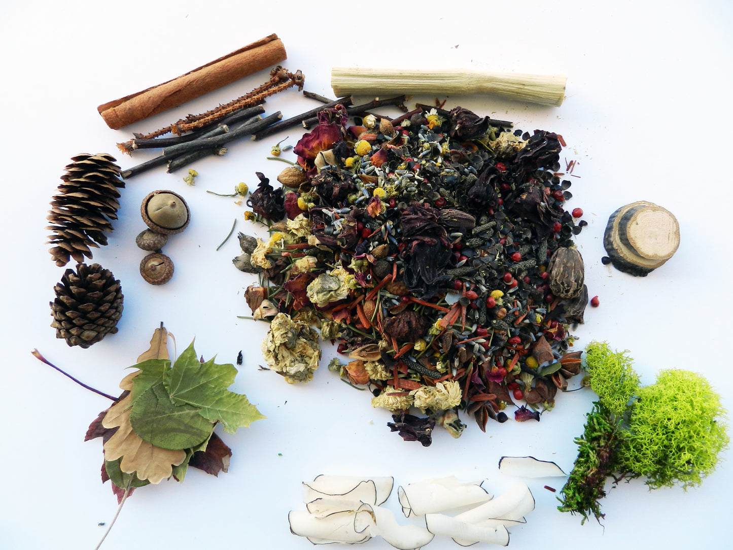 Wildcrafted Potpourri in Natural Coconut Shell – Organic Botanical Blend - Nina Bella Collection
