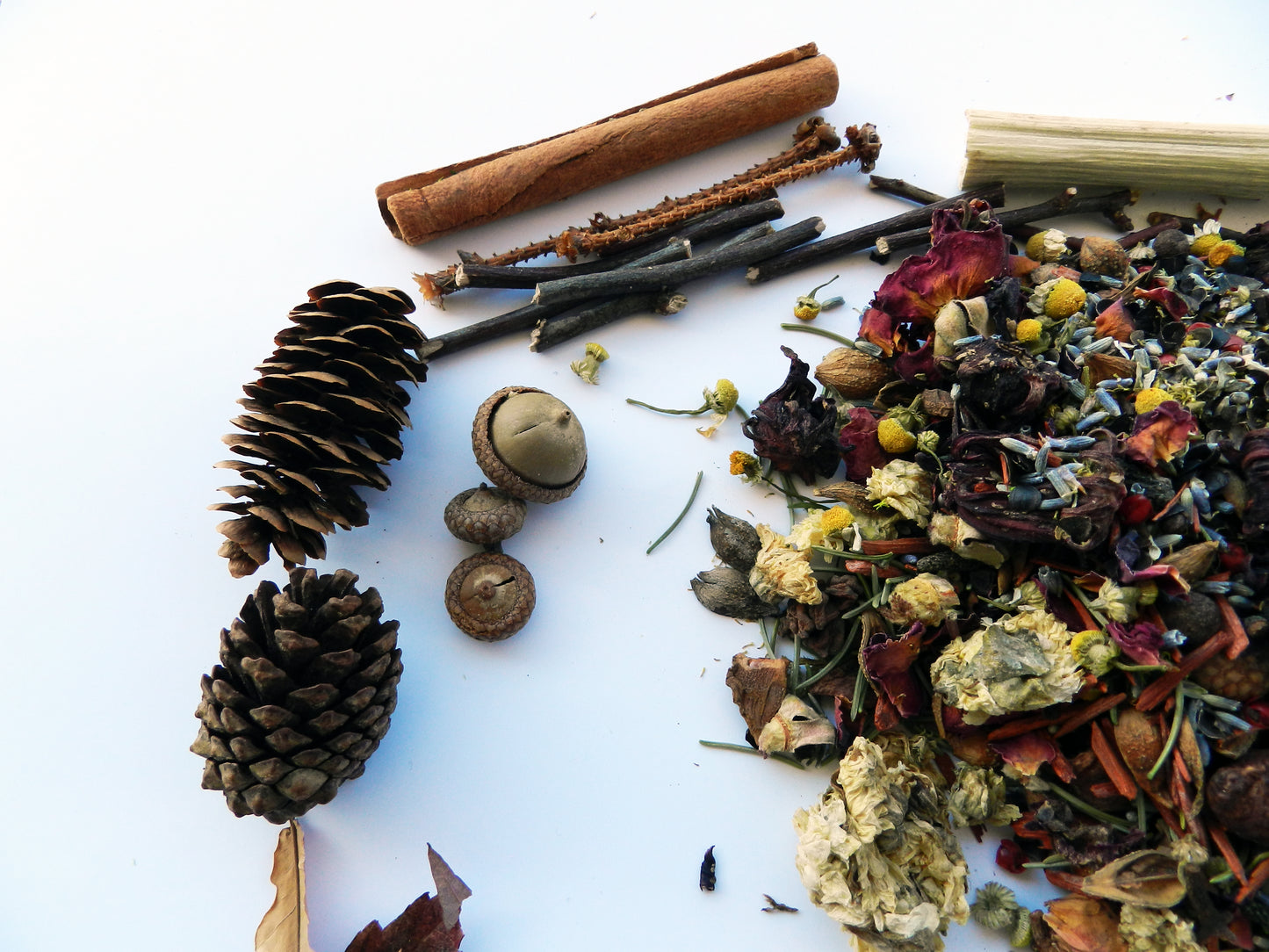 Wildcrafted Potpourri in Natural Coconut Shell – Organic Botanical Blend - Nina Bella Collection