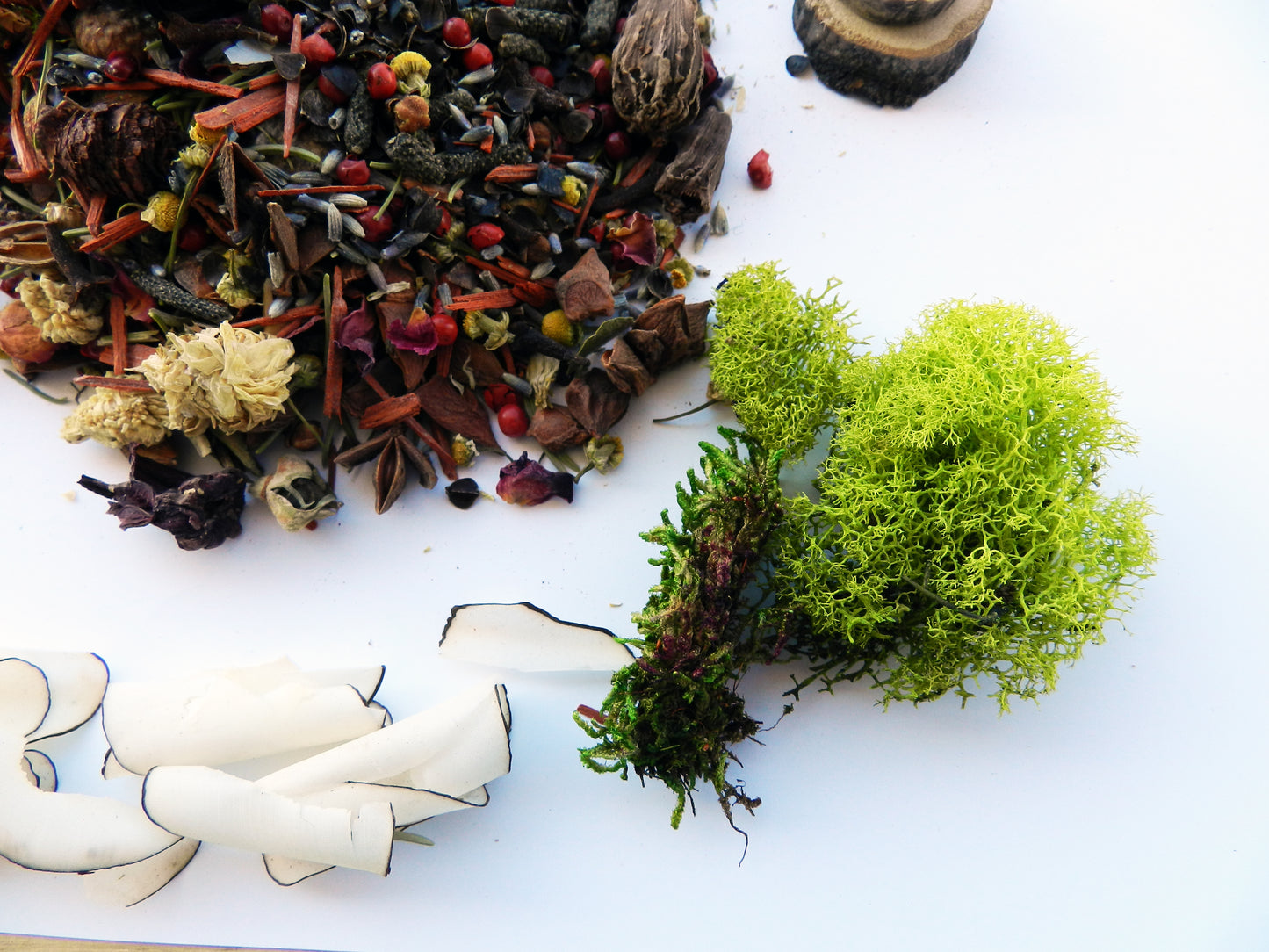 Wildcrafted Potpourri in Natural Coconut Shell – Organic Botanical Blend - Nina Bella Collection
