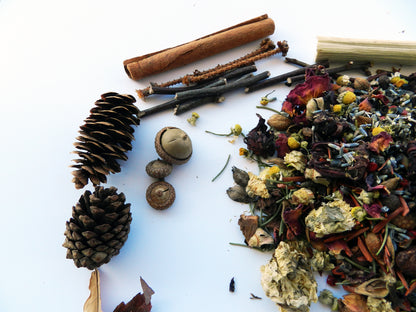 Wildcrafted Potpourri in Natural Coconut Shell – Organic Botanical Blend - Nina Bella Collection
