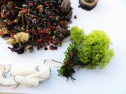 Wildcrafted Potpourri in Natural Coconut Shell – Organic Botanical Blend - Nina Bella Collection