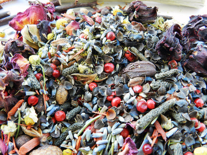 Wildcrafted Potpourri in Natural Coconut Shell – Organic Botanical Blend - Nina Bella Collection
