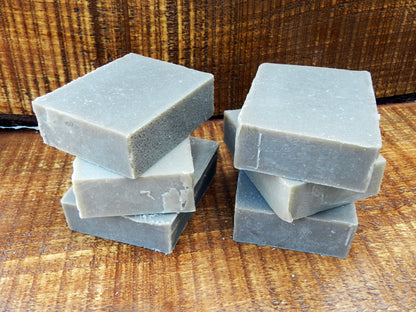Northern Forest Mineral Polish - Pine & Bergamot with Bentonite Clay Scrub Bar
