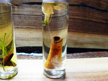 Juego de 4 aceites aromáticos orgánicos en roll-on